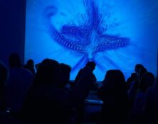 WhatsApp Image 2026-01-25 at 00.11.17 (1)