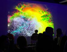 WhatsApp Image 2026-01-25 at 00.12.16 (1)